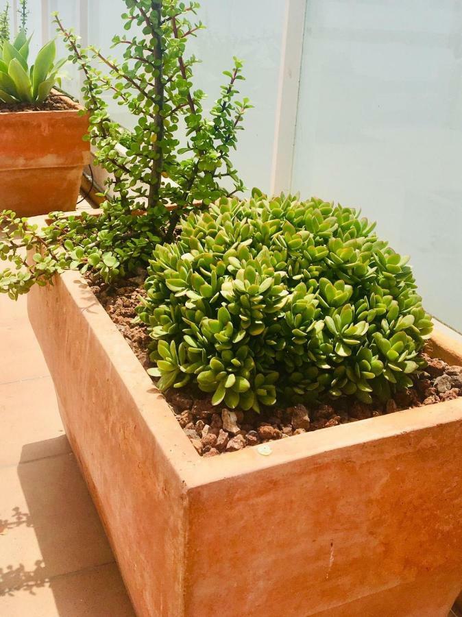 Penthouse La Paz 9 - Castle View Apartment โมไรรา ภายนอก รูปภาพ